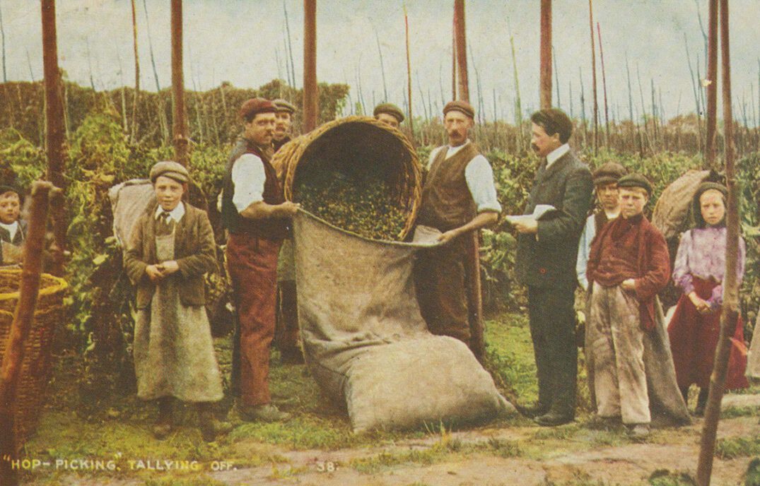 "Let’s all go hop picking!" MMM Magazine 01 London hop pickers in the fields 1 Credit Kent County Council
