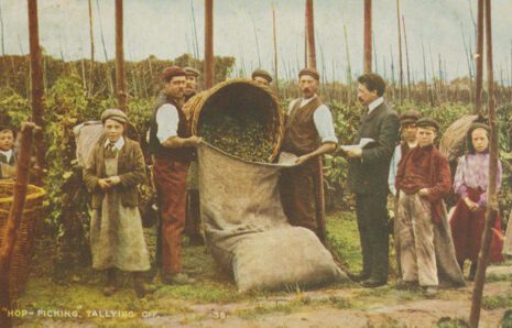 "Let’s all go hop picking!" MMM Magazine 01 London hop pickers in the fields 1 Credit Kent County Council